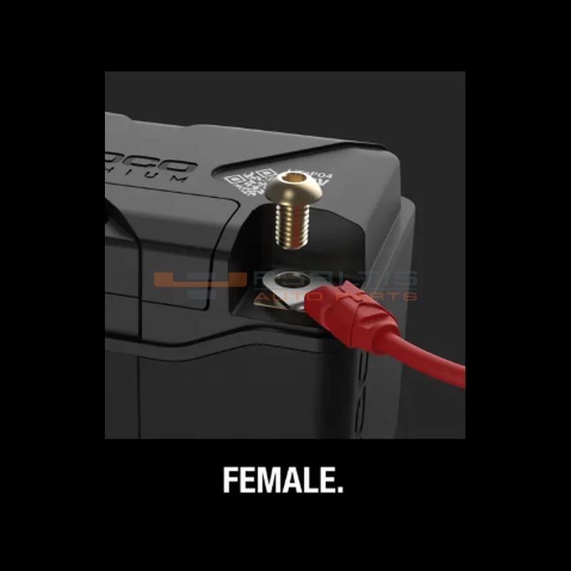 NOCO 12V 700A Lithium Powersport Battery (NLP30) - Image 7